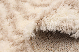 eCarpetGallery Shag Area Rug, Ivory, Tan, 6'7" x 9'6"