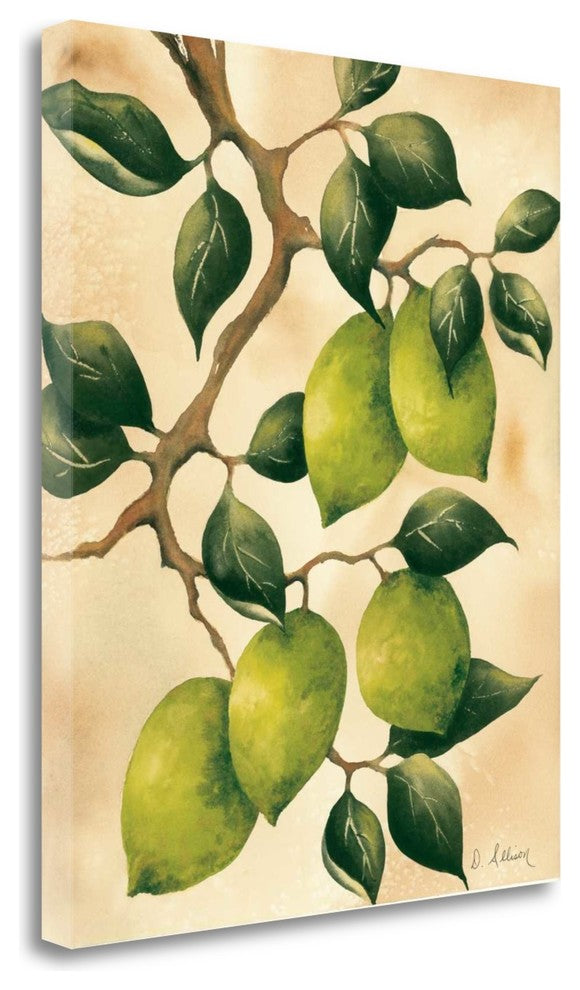 "Italian Harvest - Limes" By Doris Allison, Giclee Print on Gallery Wrap Canvas