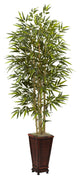 6' Bamboo Tree With Decorative Planter
