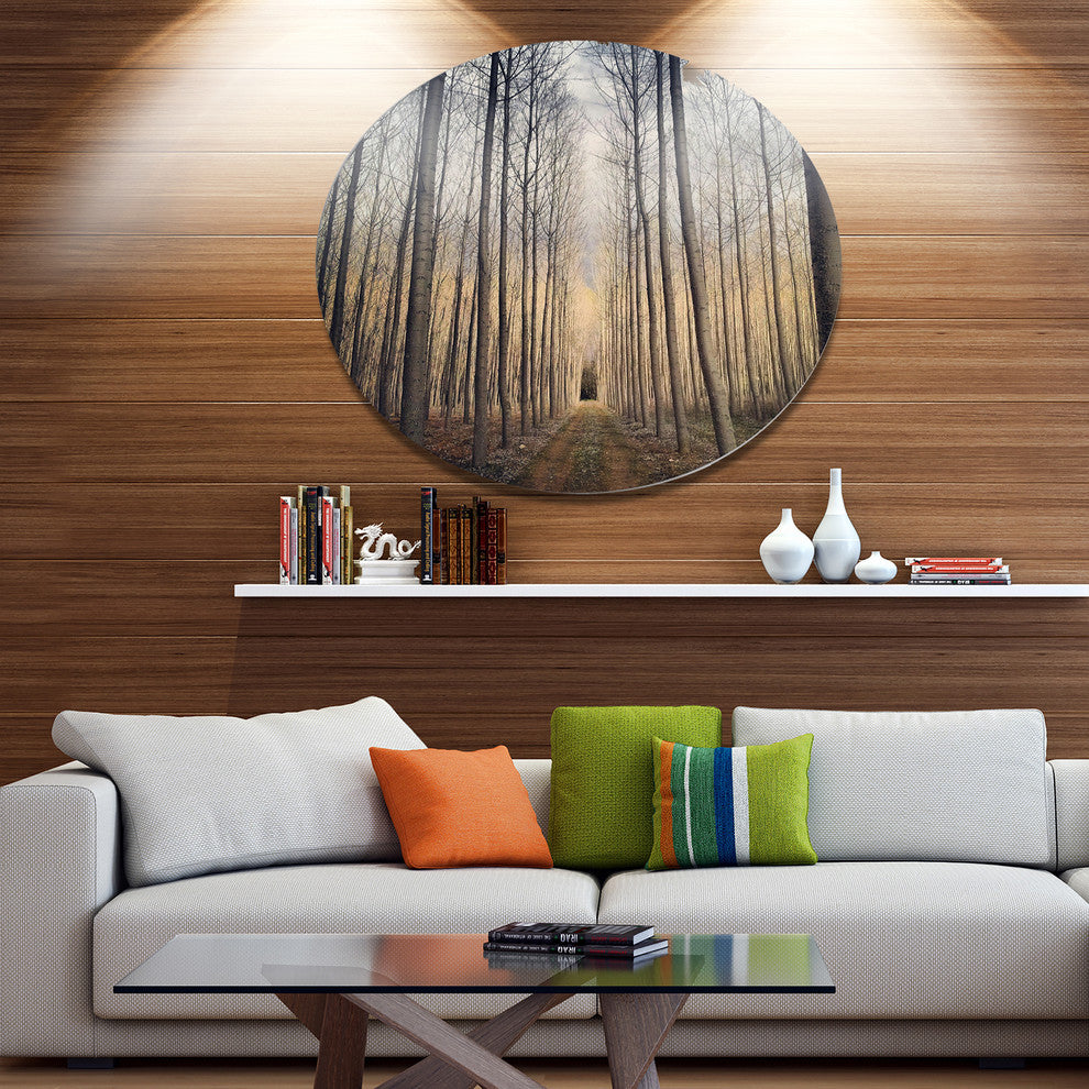 Thick Forest Of Poplars At Sunset, Forest Disc Metal Wall Art, 11"