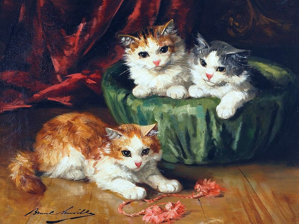 Kittens Playing With Pompons Accent Tile Mural Kitchen Bathroom Backsplash