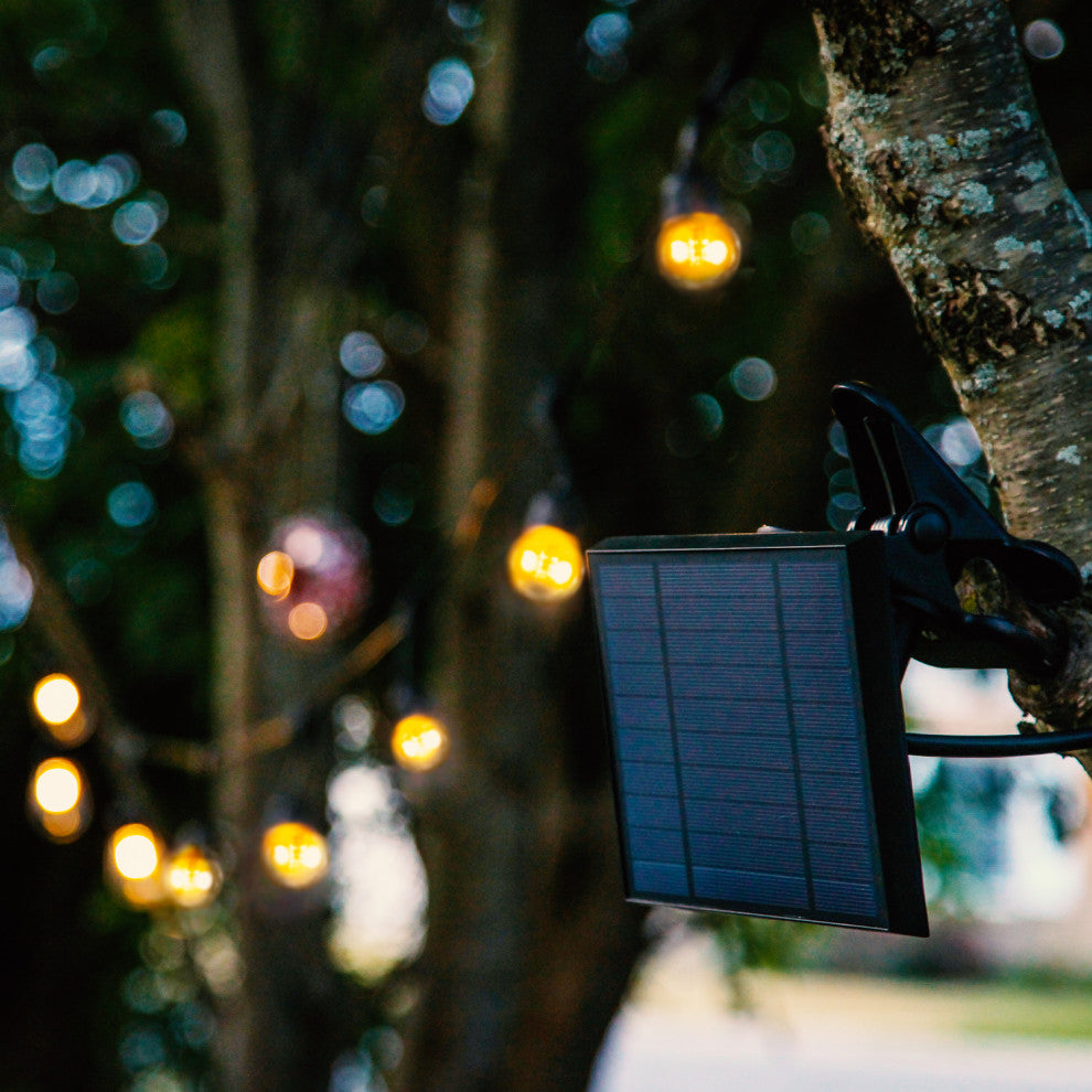Ambience Pro, Waterproof, Solar Outdoor String Lights, 1W, 2700K, 48''