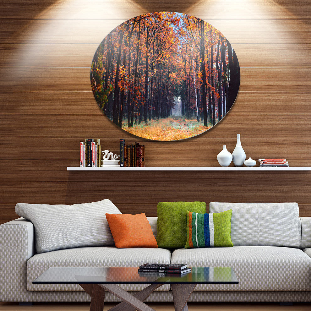 Alley In The Dense Autumn Forest, Forest Disc Metal Artwork, 23"