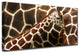 Ready2HangArt 'Giraffe' Wrapped Canvas Wall Decor, 24"x12"