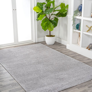 Haze Solid Low-Pile Light Gray 6 ft. x 9 ft. Area Rug