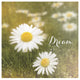 "Daisy Dreams" Digital Paper Print by Sue Schlabach, 26"x26"