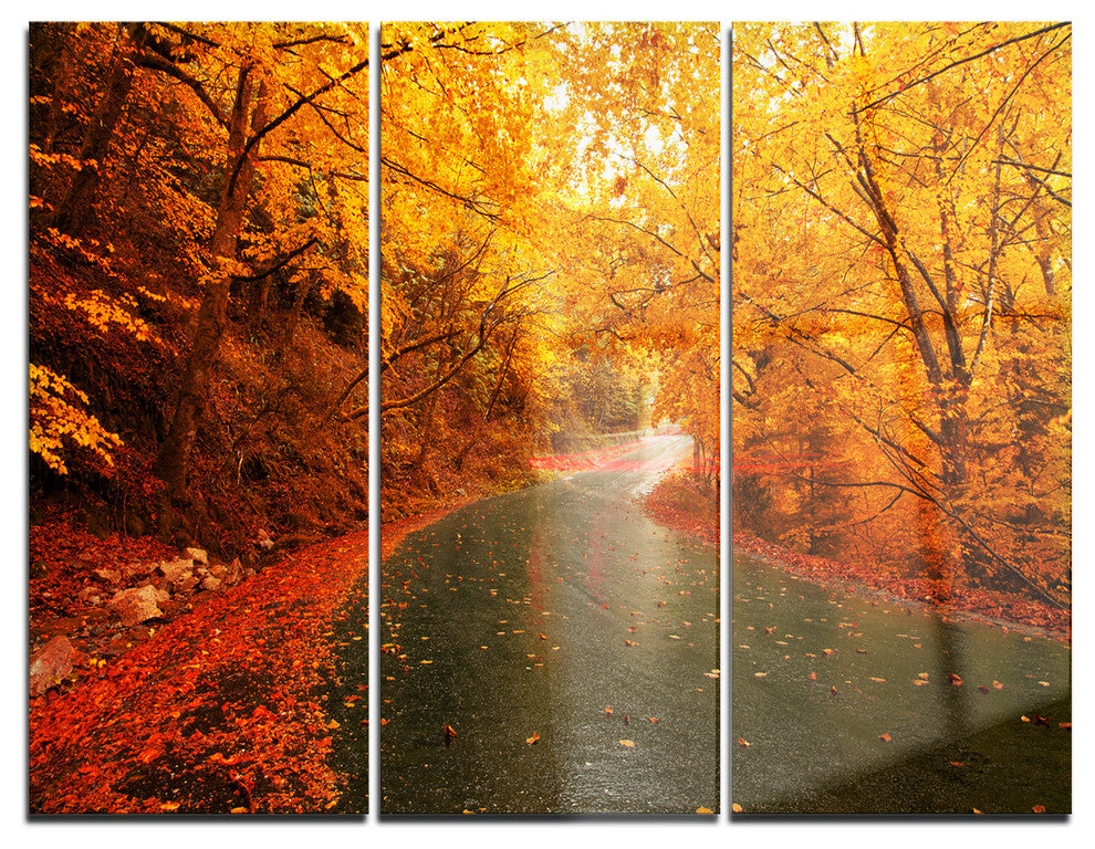 "Autumn Light Trails on Road" Photo Metal Wall Art, 3 Panels, 36"x28"