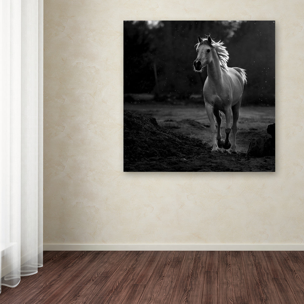 Abdullah Al-Saeed 'Coquetry' Canvas Art, 14 x 14