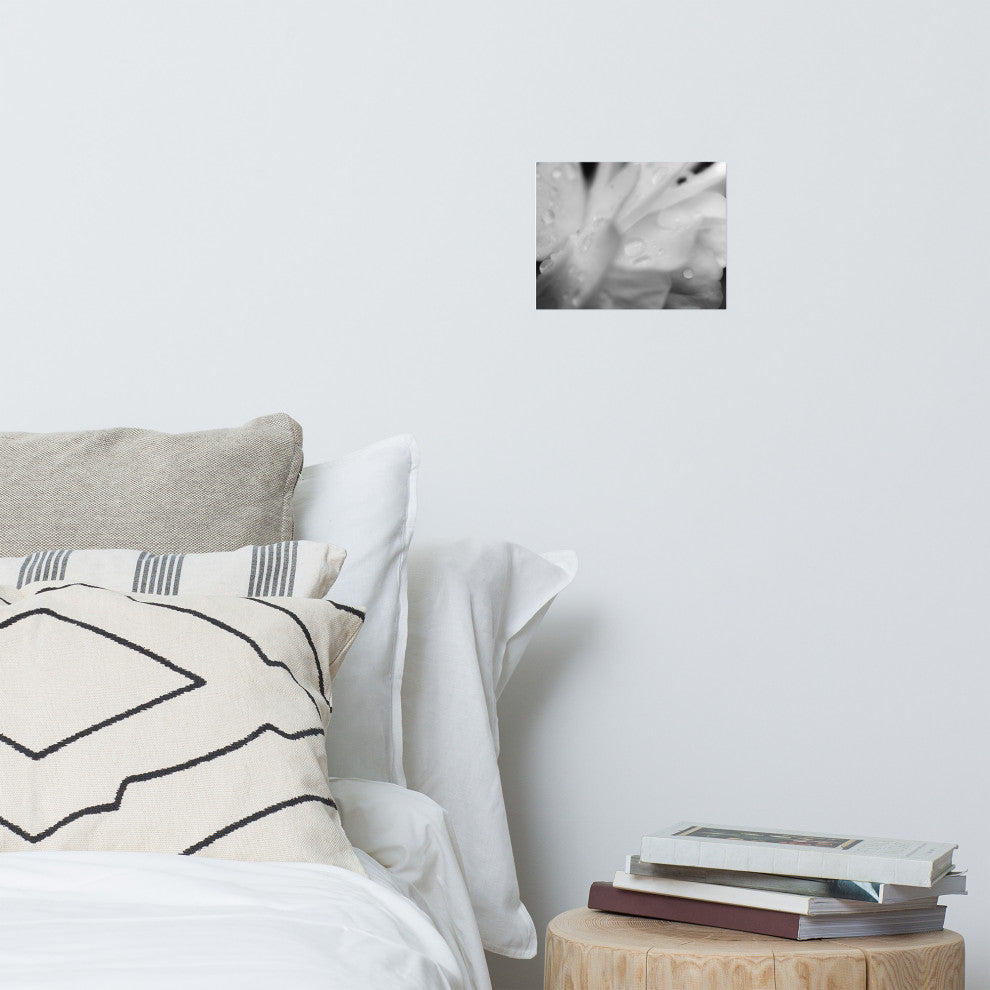 Delicate Rose Petals Floral Black & White Photo Unframed Wall Art Print, 8" X 10"