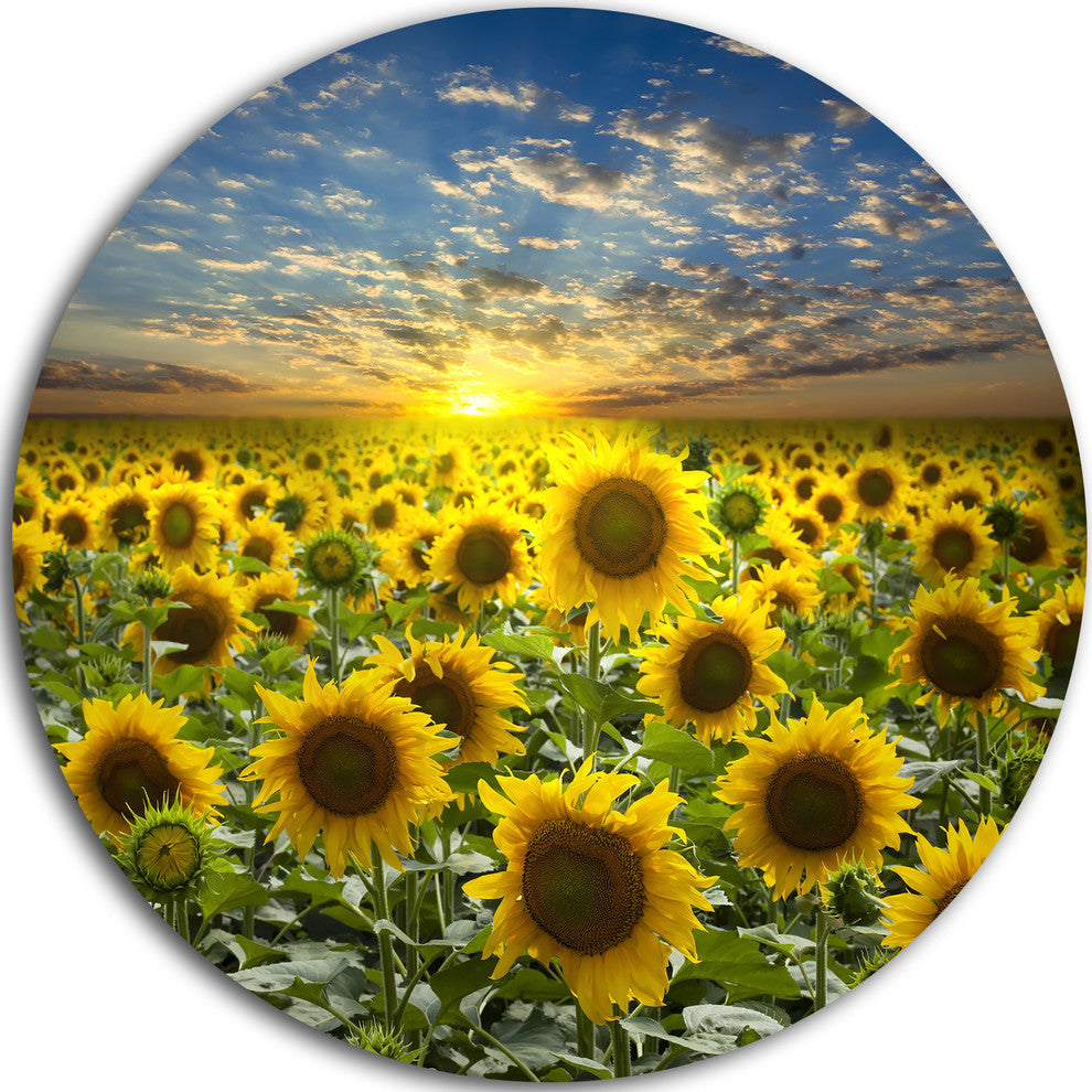 Field Of Blooming Sunflowers, Flower Disc Metal Artwork, 11"