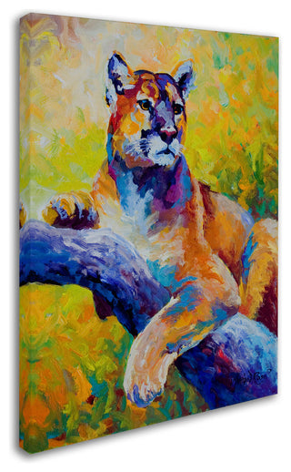 Marion Rose 'Cub' Canvas Art, 24" x 32"