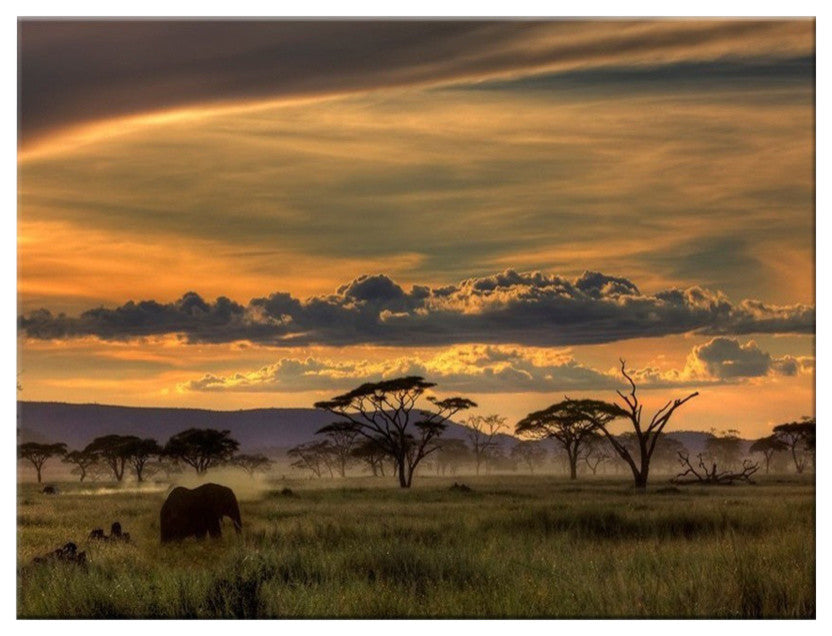 Africa' Canvas Wall Decor