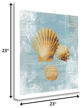23" Blue Seashell Treasures Giclee Wrap Canvas Wall Art