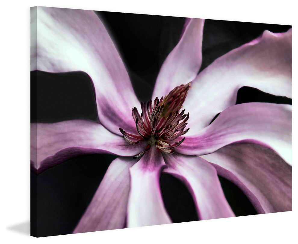"Petal Pleasure" Painting Print on Canvas by Robertson