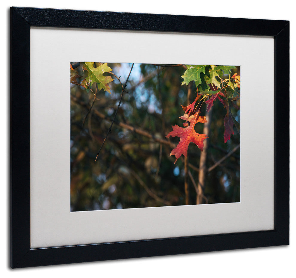 Jason Shaffer ''Oak'' Matted Framed Art, Black Frame, White Mat, 20x16