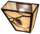 13"W Whispering Pines Wall Sconce