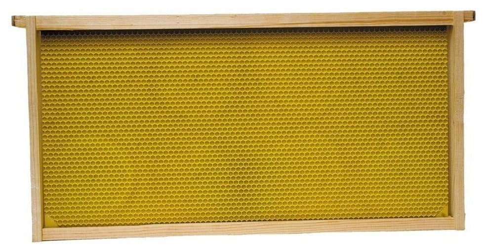 Harvest Lane Honey WWFFD-101-5 Deep Beehive Frame, Assembled, 5 Pk