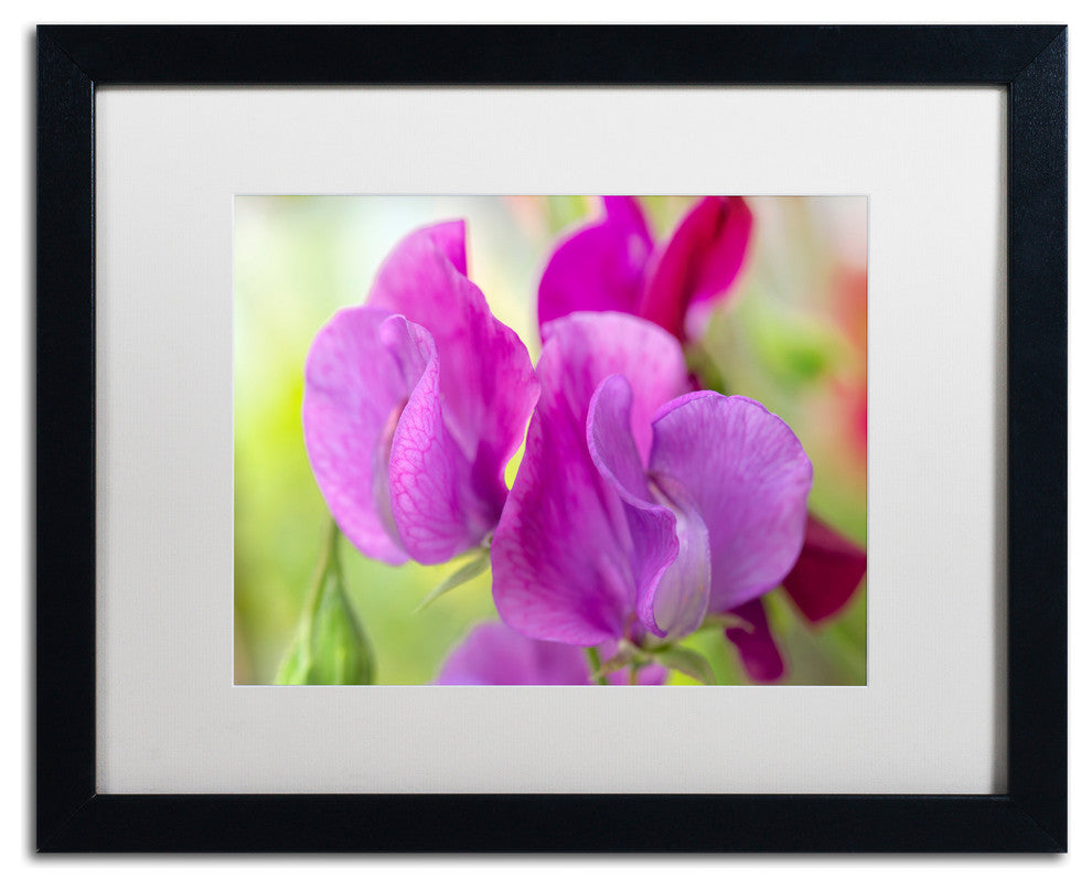 Cora Niele ''Two Sweet Pea Flowers'' Matted Framed Art