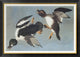 "Golden-Eye Duck" Framed Canvas Giclee by John James Audubon, 42"x30"