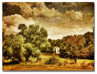 'Old Farm House' Canvas Art by Lois Bryan