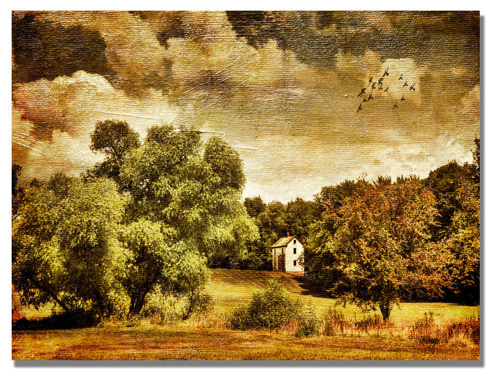 'Old Farm House' Canvas Art by Lois Bryan