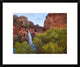 "Havasu Falls, Grand Canyon, Arizona"  by Tim Fitzharris, 24x20"