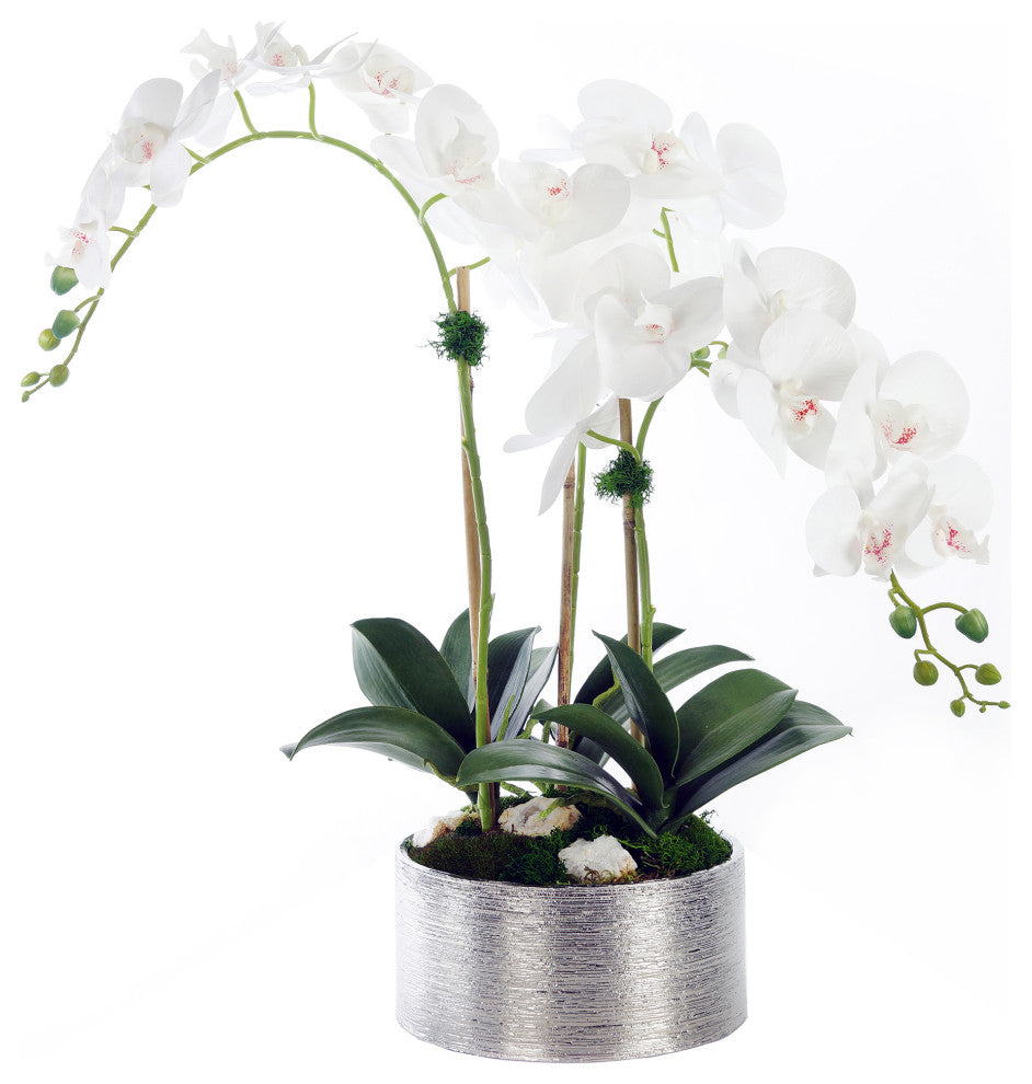 White Phalaenopsis Orchids with Geodes in Round Etched Pot