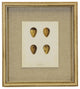 Bird Egg Print On Linen, Distressed Cream Shadowbox