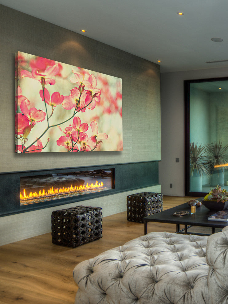 "Morning Light" Artwork