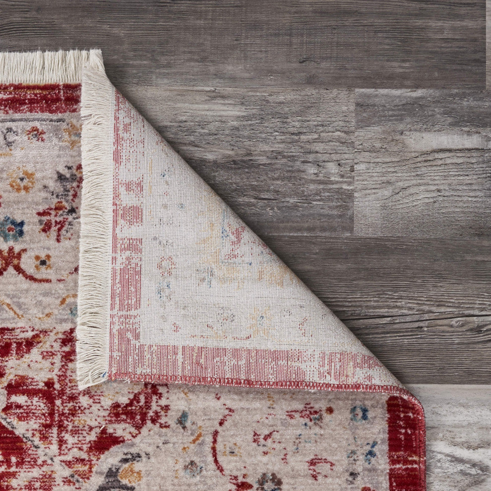10" x 13" Red Distressed Border Area Rug