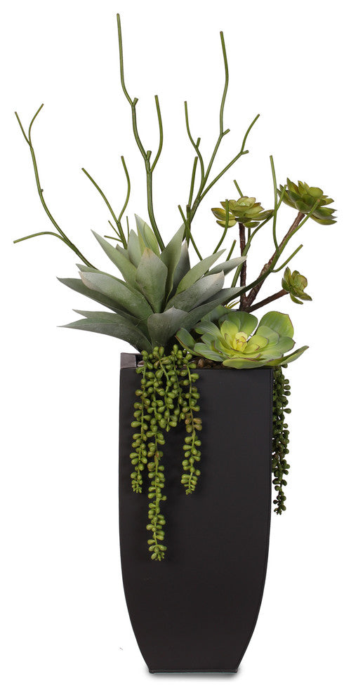 Botanical Succulent Variety With Tall Black Modern Metal Planter