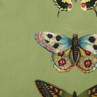 Butterflies Polyester Indoor Pillow, Apple Green, 20"x20"
