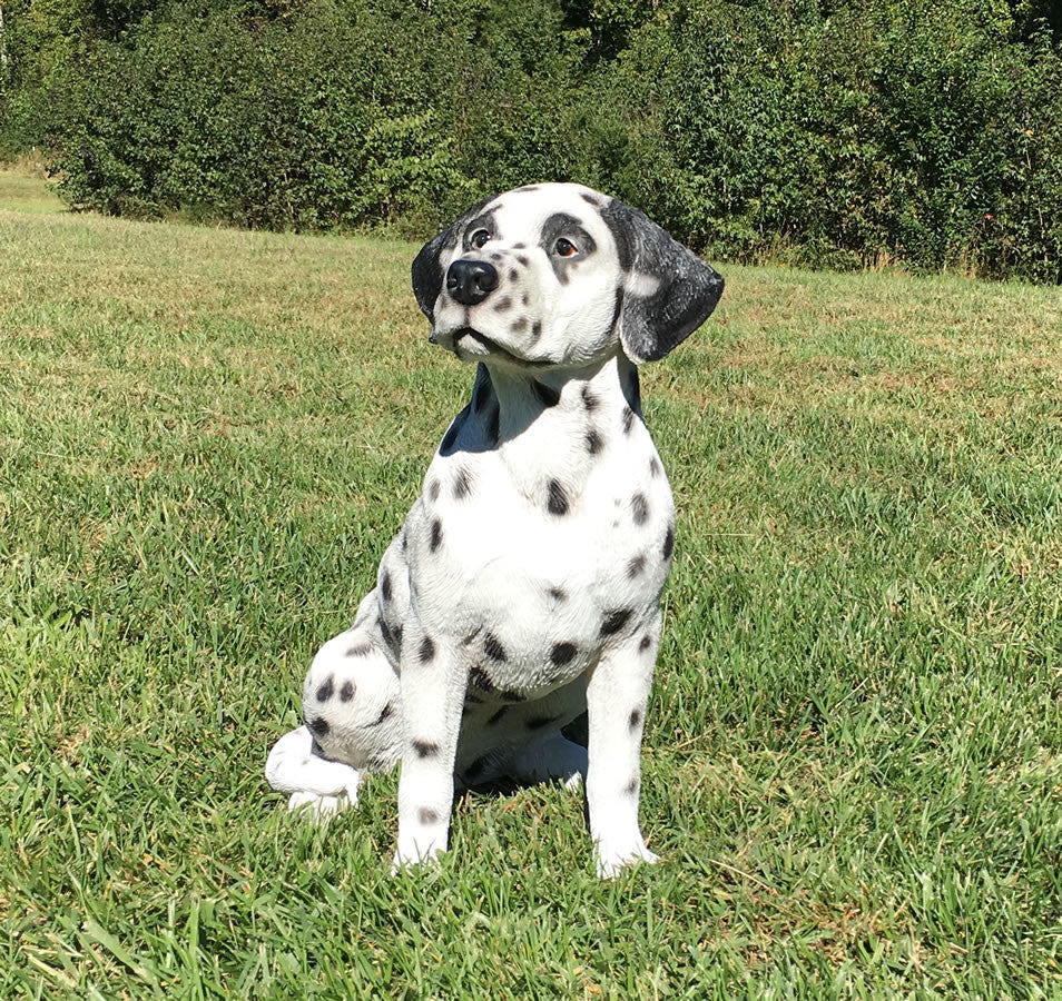 Realistic Dalmatian Dog Garden Statue, 20"