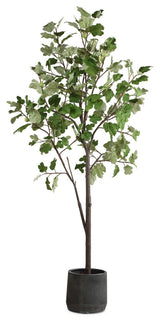 Uttermost Eden Potted Fig Tree