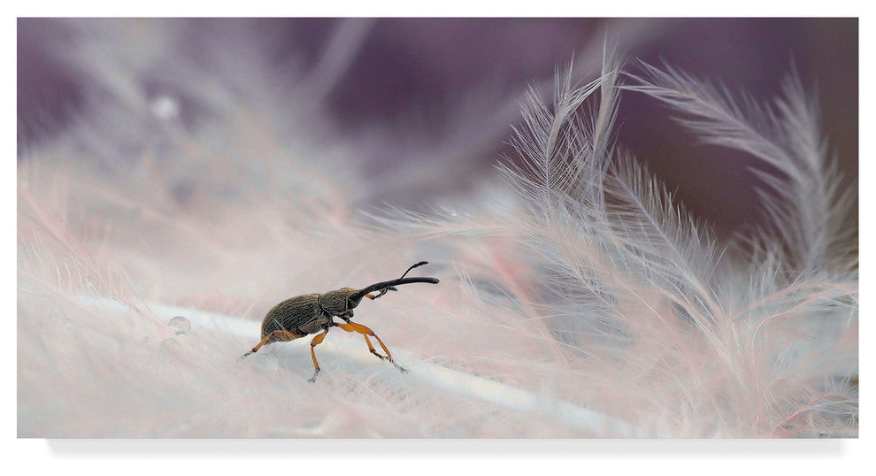 Thierry Dufour 'In The Forest Of Feathers' Canvas Art, 24"x12"