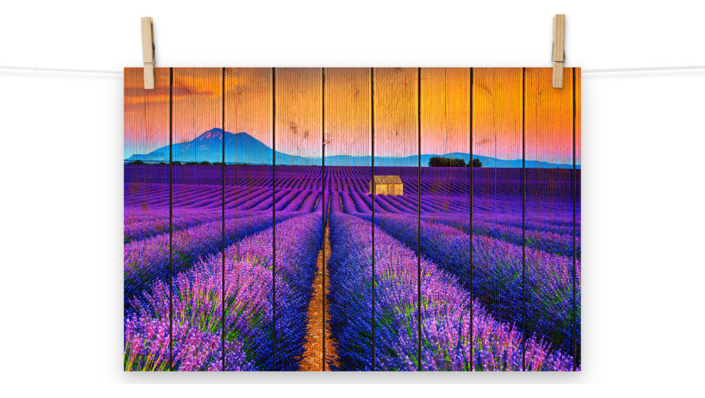 Faux Wood Lavender Fields and Sunset Landscape Unframed Wall Art Prints, 12" X 18"