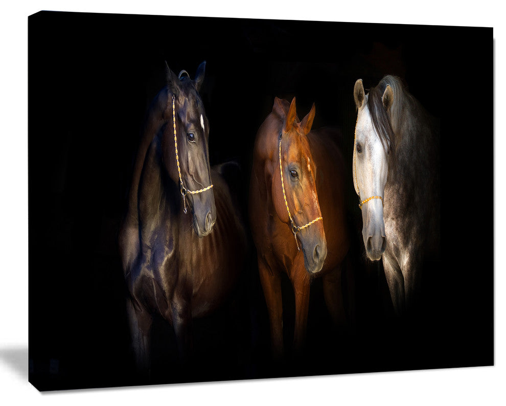 Three Horses with Golden Bridle, Animal Canvas Art Print, 40"x30"