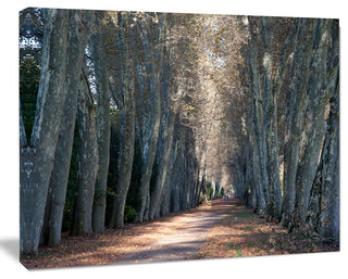 Road in Thick Autumn Woods, Modern Forest Canvas Art, 20"x12"
