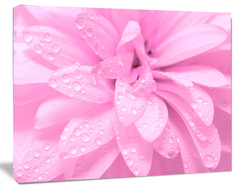 Abstract Pink Flower with Petals, Floral Canvas Art Print, 20"x12"
