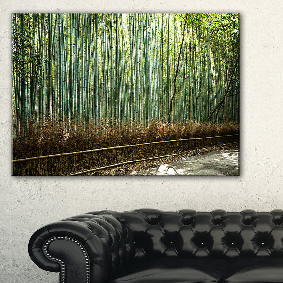"Beautiful View of Bamboo Forest" Forest Wall Art Print, 1 Panel, 60"x28"