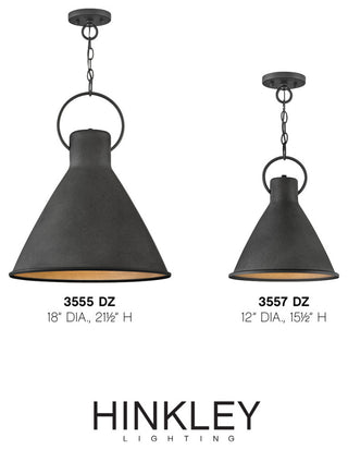 Hinkley Winnie Large Pendant, Aged Zinc
