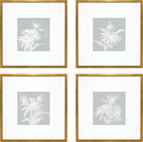 Echinacea Artwork 4-Piece Set