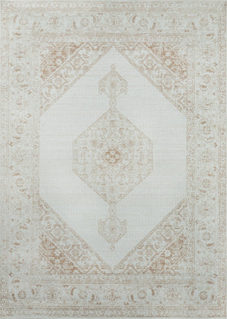 Momeni Isabella Traditional Area Rug, Brown, 5'3"x7'3"