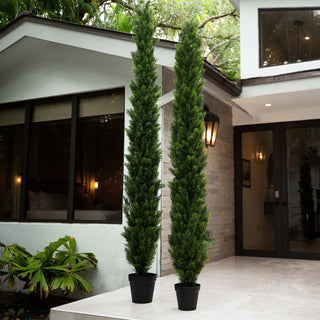 Lifestyle/environment; product near entry with surrounding landscaping