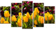 Beautiful Yellow Tulips Garden, Large Flower Canvas Art Print, 60"x32", 5 Panels