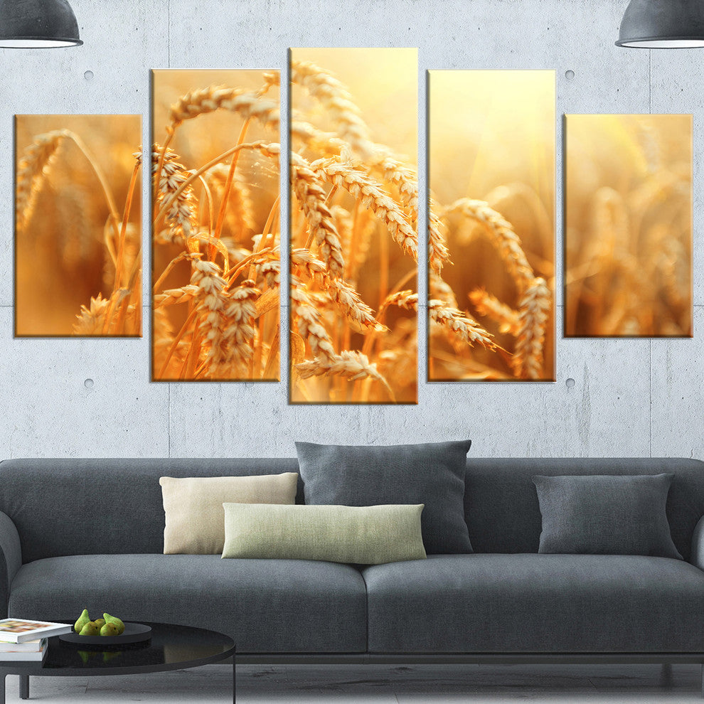 Ears of Golden Wheat Close up, Large Landscape Canvas Art, 60"x32", 5 Panels