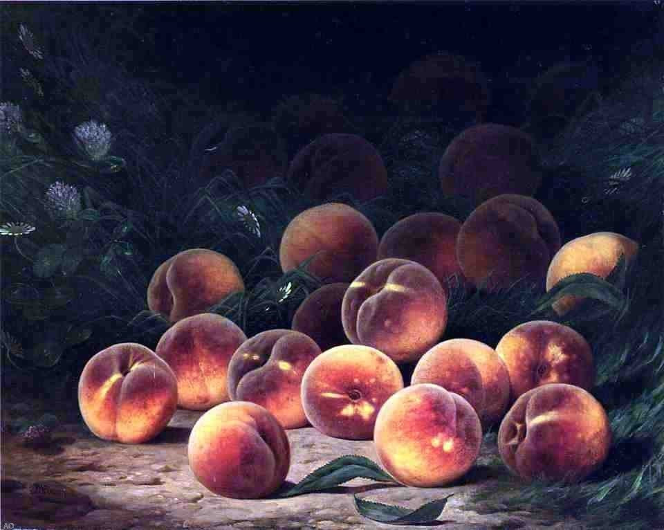 William Mason Brown Bounty of Peaches, Gallery Wrapped Canvas Print, 20"x25"