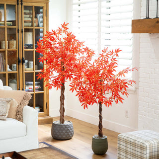 Lifestyle image showing tree in a real room, with furniture; product clearly displayed.