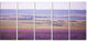Calm Sunset over Lavender Field, Floral Canvas Art Print, 60"x28", 5 Panels