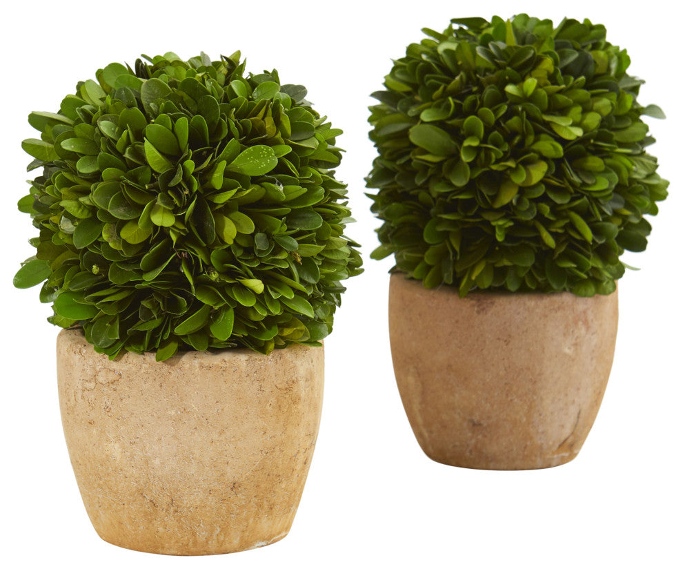 Nearly Natural 7ï¿½ Boxwood Ball Preserved Plant in Decorative Planter (Set of 2)